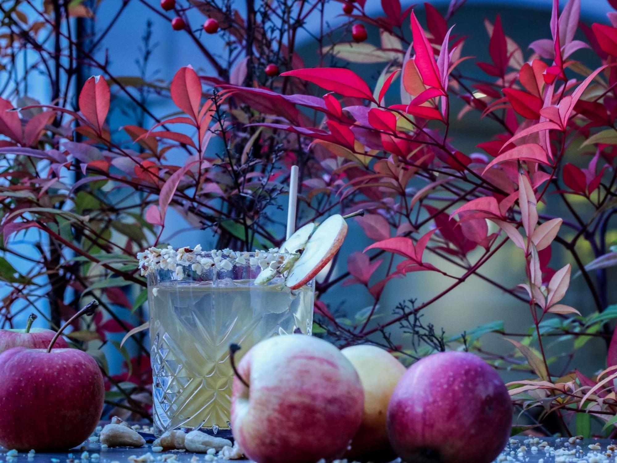 Mercure Aix-Les-Bains Domaine De Marlioz Hotel & Spa Buitenkant foto